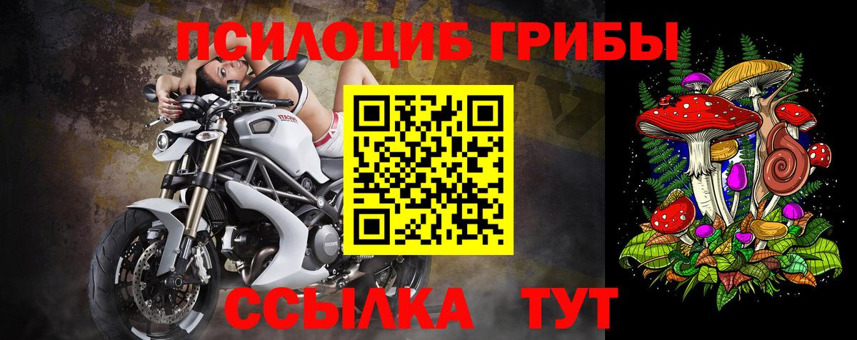 магазин продажи наркотиков  Галлюциногенные грибы MAGIC MUSHROOMS  Вход с VPN  Донской 